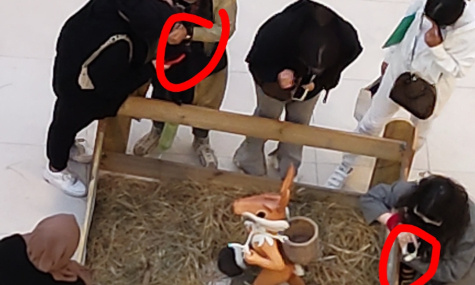 Pour que Lillenium retire les animaux exposés dans de mauvaises conditions