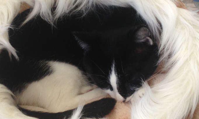 Besoin urgemment de vous et des réseaux sociaux, mobilisez vous!