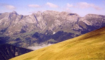 L'annulation de la décision d'abattage des bouquetins du Bargy