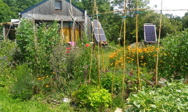 Habitat léger : centre de formation en permaculture et lieu de vie familial menacés