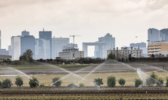 Stop aux nuisances sonores aériennes de Montesson