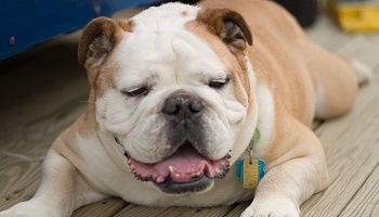 Pour que le HUU soit reconnu et que le test devienne obligatoire