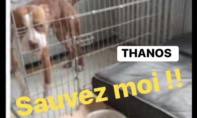 RETIREZ THANOS DES MAINS DE SON TORTIONNAIRE !!