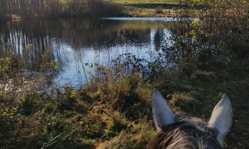 Non à la Privatisation du chemin rural de l'Etang la Heute