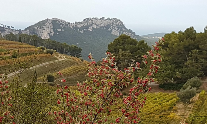 Non à une antenne 5G au Beausset Vieux