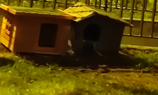 Non au retrait des 2 petits abris chats libres