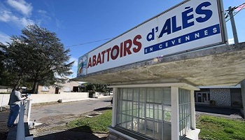Non à la maltraitance des animaux dans l'abattoir munipal d'Alès