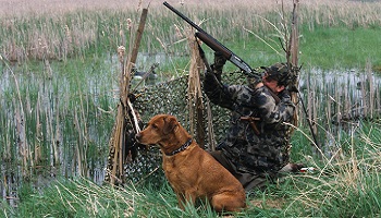 Non au salon de la chasse, oui au respect de la réglementation de la réserve ornithologique
