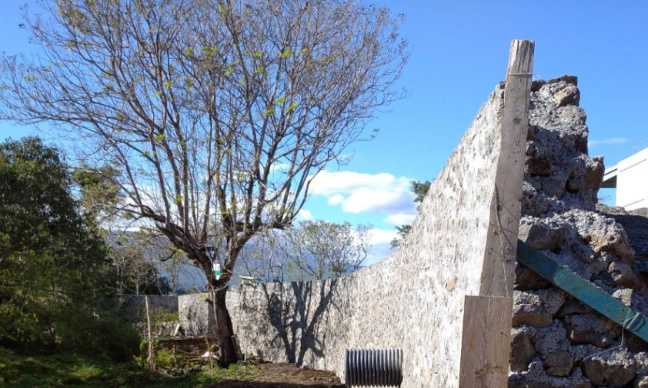 Pour l'arrêt immédiat de l'urbanisation forcée de la forêt de Casabona, de la Réunion, et d'ailleurs...