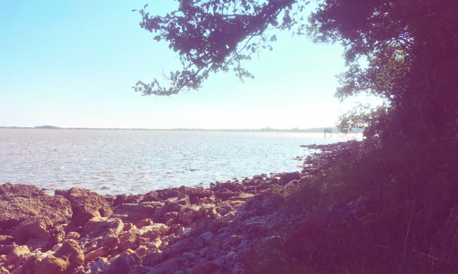 NON A L'EXTENSION DE LA RNN DU MARAIS D'YVES