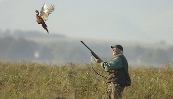 Le respect des animaux assassinés