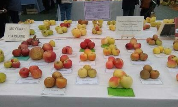 SAUVONS LE CONSERVATOIRE VEGETAL REGIONAL D'AQUITAINE