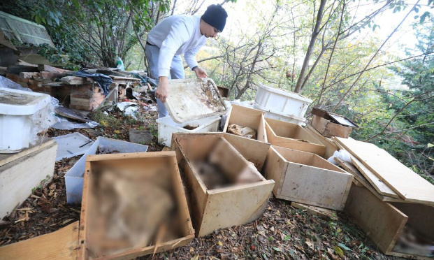 UNE CENTAINE DE CADAVRES DE CHATS TROUVÉS CHEZ UN RETRAITÉ