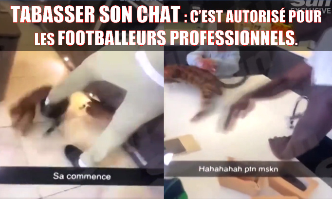 Kurt Zouma tabasse ses chats sur Twitter en toute impunité, et son Club de Foot ne bouge pas le petit doigt !