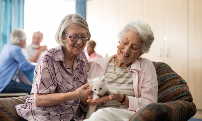 POUR AUTORISER LES CHATS EN MAISONS DE RETRAITE
