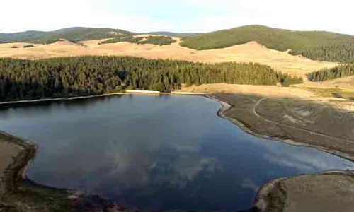 Pour la création de la réserve biologique du Mont Aigoual