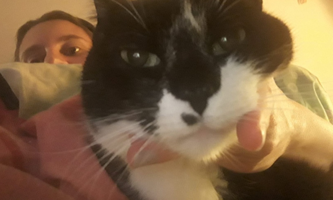 Condamner pénalement les abandons d'animaux domestiques