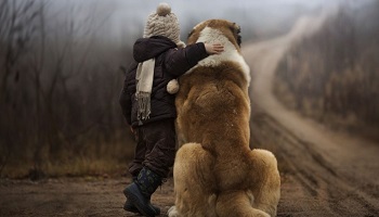 Sauvez des vies d'animaux