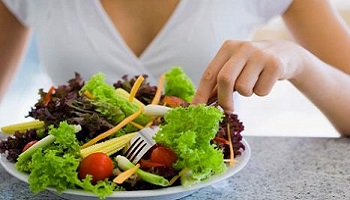 Stop à la tuerie d'animaux !