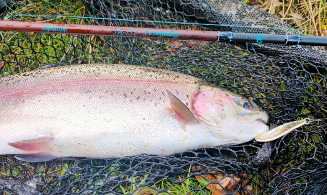 Pour l'ouverture des réservoirs de la Haute-Vienne aux leurres