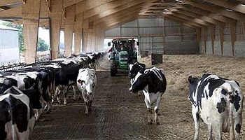 Arrêter le stress des élevages !