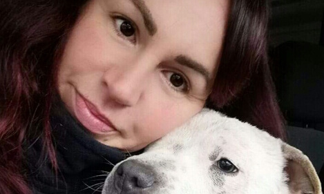 Urgent ! Il faut sauver le refuge animalier de MARINA à Céret