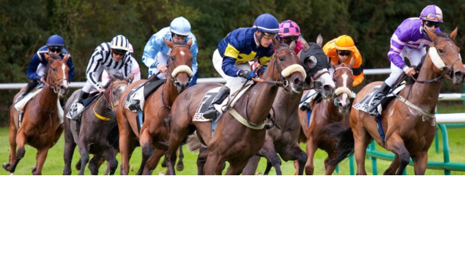 Pour arrêter la souffrance des chevaux de courses