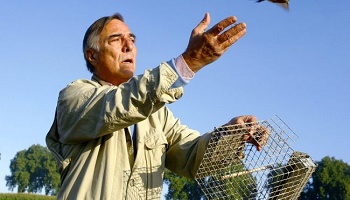 #SlipGate Arrêtez la tuerie des pinsons dans les Landes !