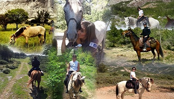 Conservons les patrouilles équestres de surveillance sur le territoire du Grand Site Sainte-Victoire