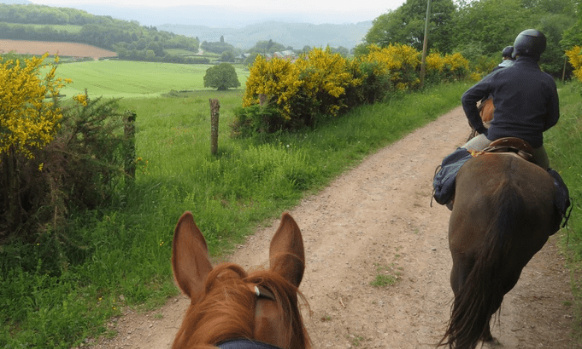Sécurisation de la chasse : pour que la FFE appuie les propositions visant à contrôler et à sécuriser la chasse