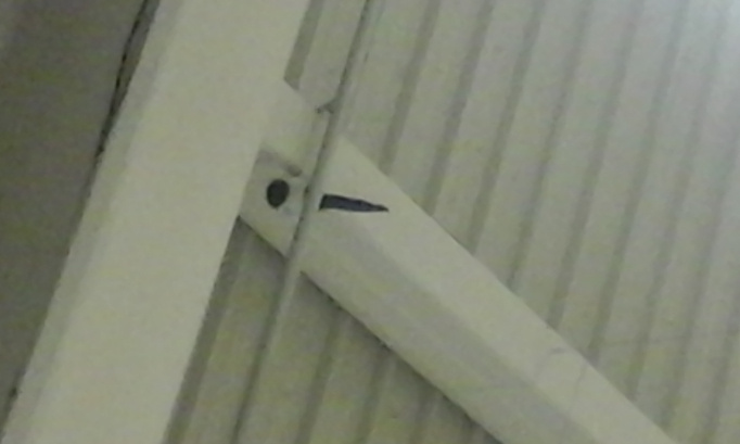 Urgent : Une pie se meurt dans un supermarché, aidez-moi à la sauver !