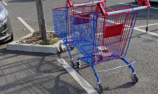 Il faut mettre fin aux problèmes de caddies sur Athis-Mons