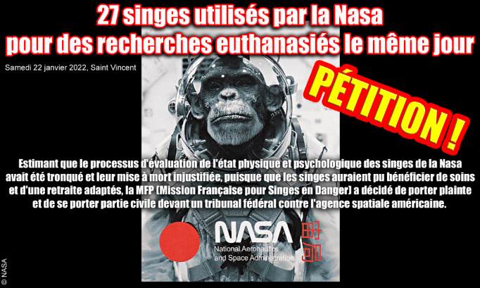 DEMANDONS JUSTICE POUR LES SINGES DE LA NASA EUTHANASIÉS ARBITRAIREMENT !