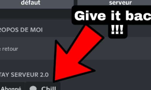 Le r&ocirc;le chill dans le Paltay Server pour @Gokutard Is Back#1928