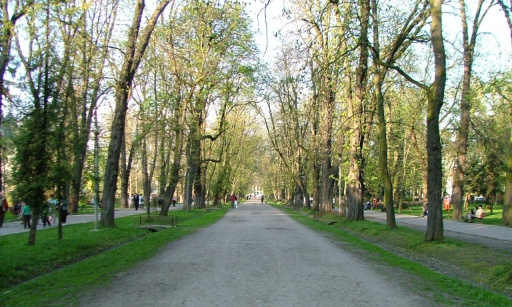 La reconstruction du parc arboricole central détruit par l'ancien Maire, Andres Ioan Calin et ses complices