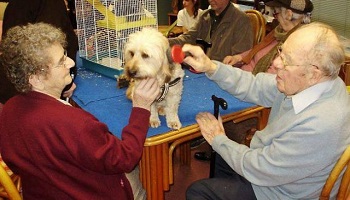 Laissons les personnes âgées garder leurs animaux de compagnie dans les maisons de retraite
