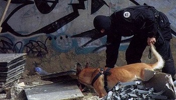 La légion d'honneur pour la petite chienne envoyée à la mort pour attraper les terroristes