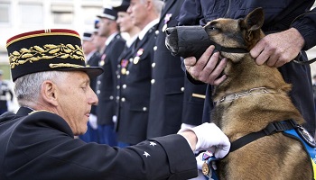 Des funérailles pour le chien mort pour la France