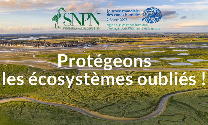 N’oublions pas les écosystèmes oubliés ! Des milieux pourtant indispensables.
