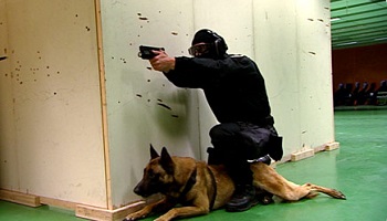 L'interdiction des chiens au RAID