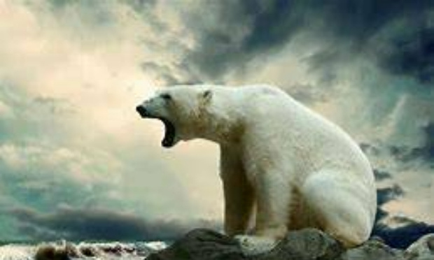 Disons stop au réchauffement climatique !