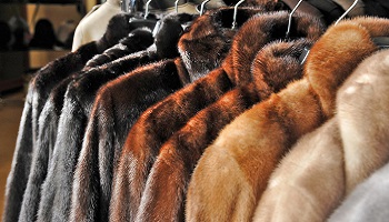 L'interdiction des stands de fourrure à la foire de Genève