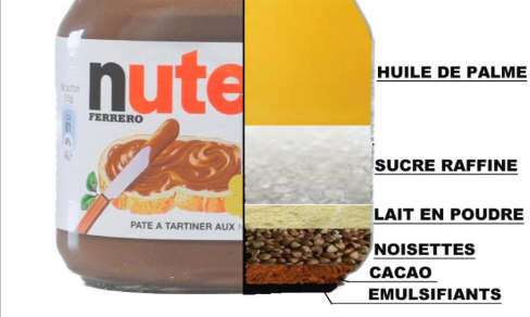 Non aux huiles de palmes : problématiques pour les animaux !