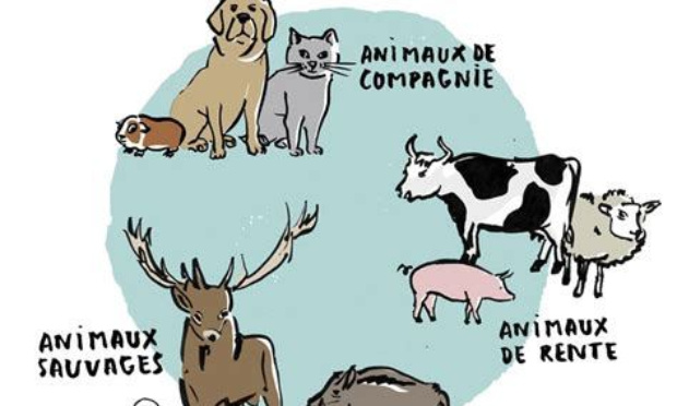 Pour l'application de peines sévères aux personnes coupables de maltraitance envers les animaux