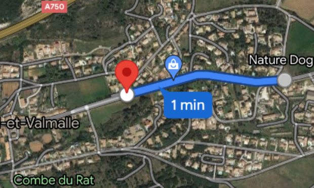 Pour l'aménagement piéton et la sécurisation de l'avenue de Montpellier