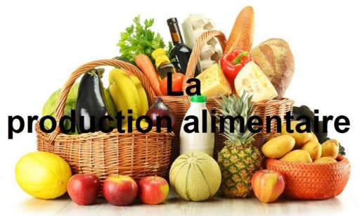 Soutenons l’initiative de création d’une sécurité sociale de l’alimentation !