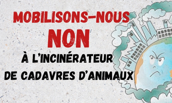 NON À L’INCINÉRATEUR DE CADAVRES D’ANIMAUX