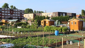 Contre le projet de relocalisation des jardins familiaux de la rue des Martyrs à Tourcoing