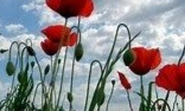 Réparation pour les vétérans canadiens laissé pour contre par Trudeau