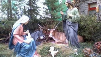 Pour refonder la France sur des vraies valeurs : joie, amour et securité